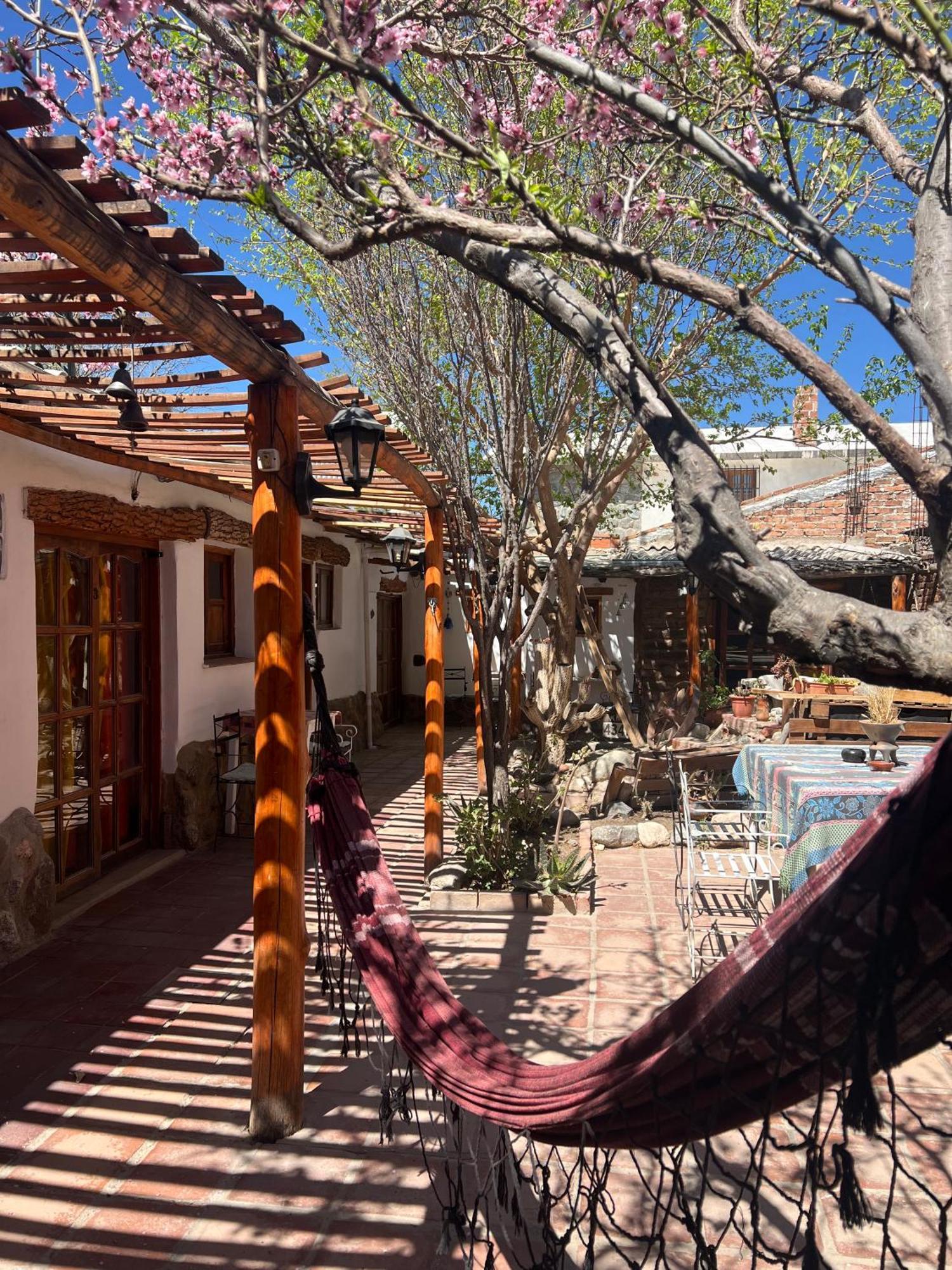 Hostal Tierra Andina קאפאייט מראה חיצוני תמונה